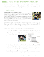 Feuille de chou n°3